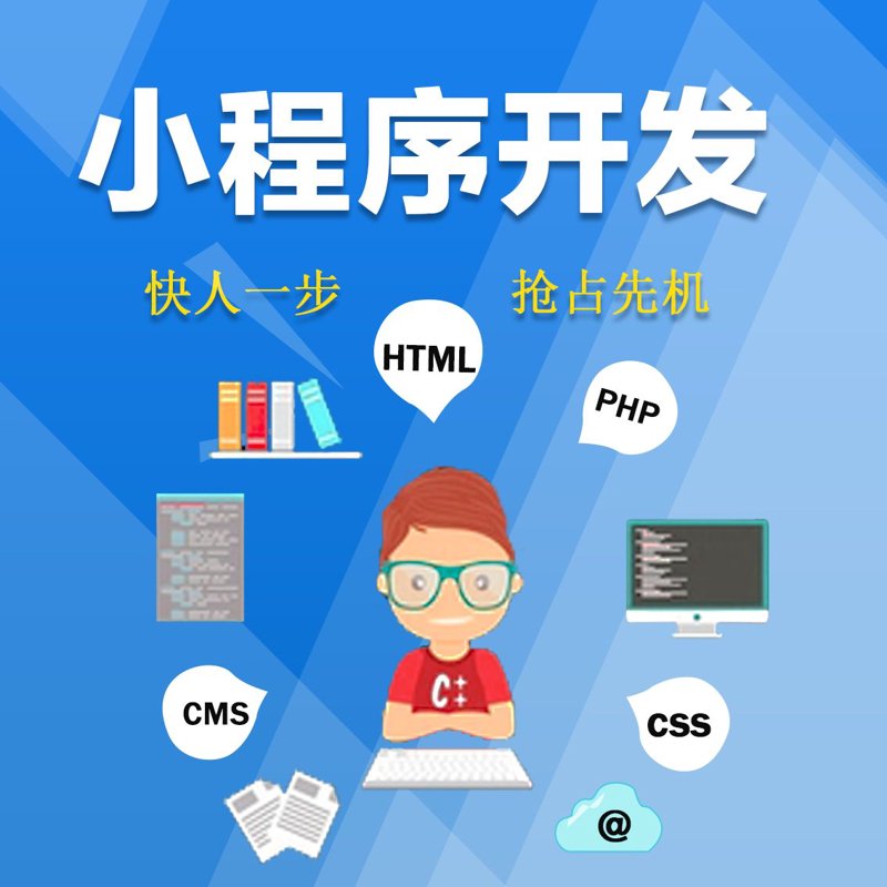 软件行业的风向标:上海新兴力量的崛起